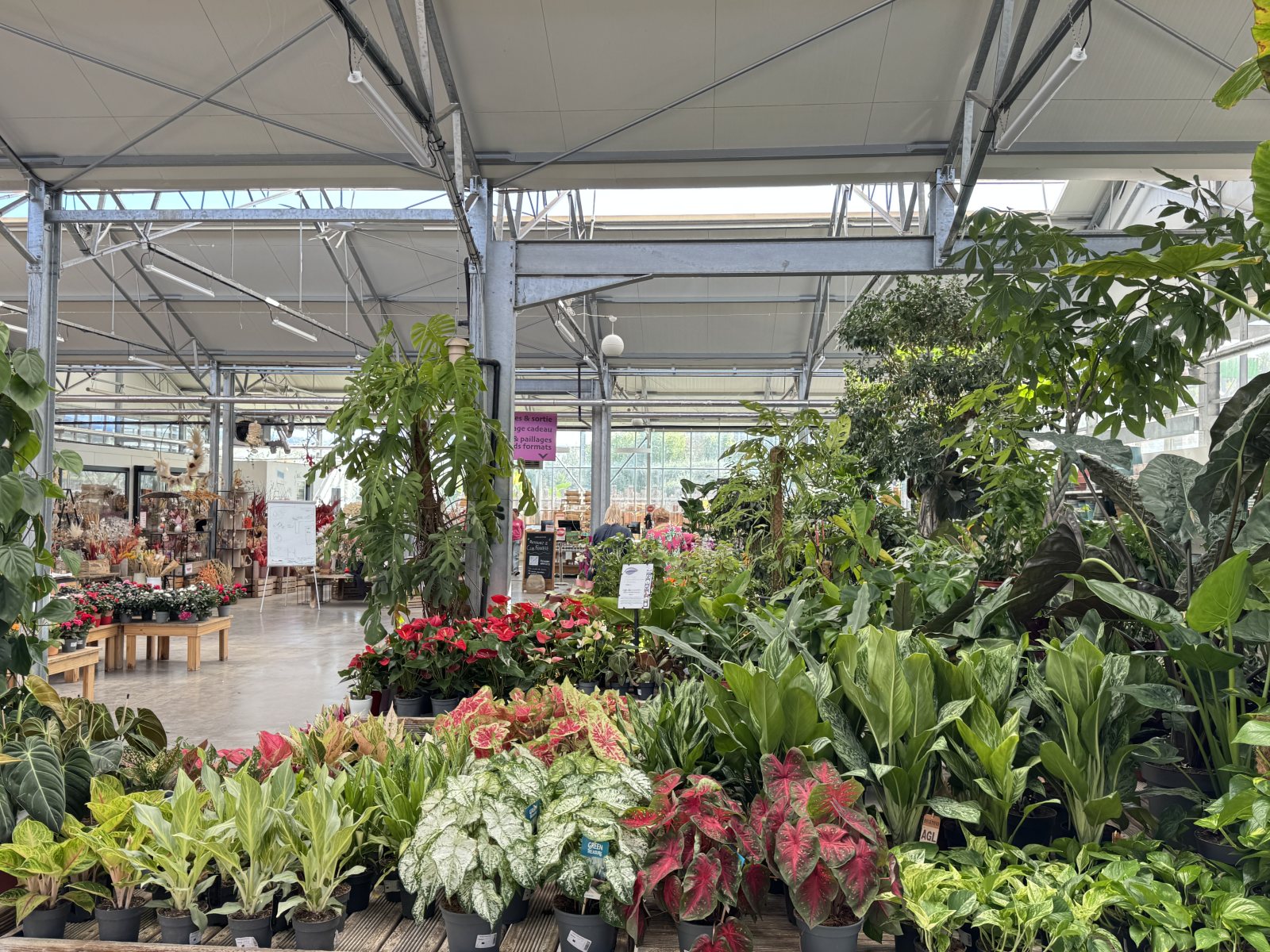 Merchandising du végétal