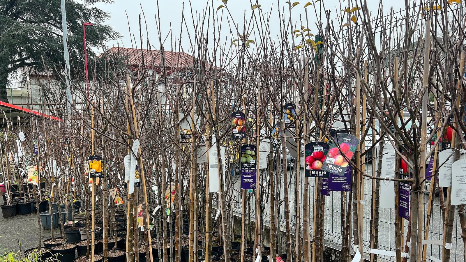 Technicité : bien vendre les arbres fruitiers